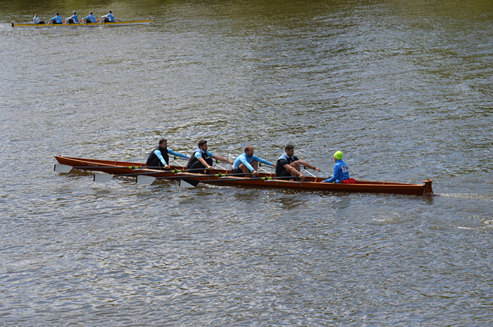 MM 4x+ A-H Gig Nied2018